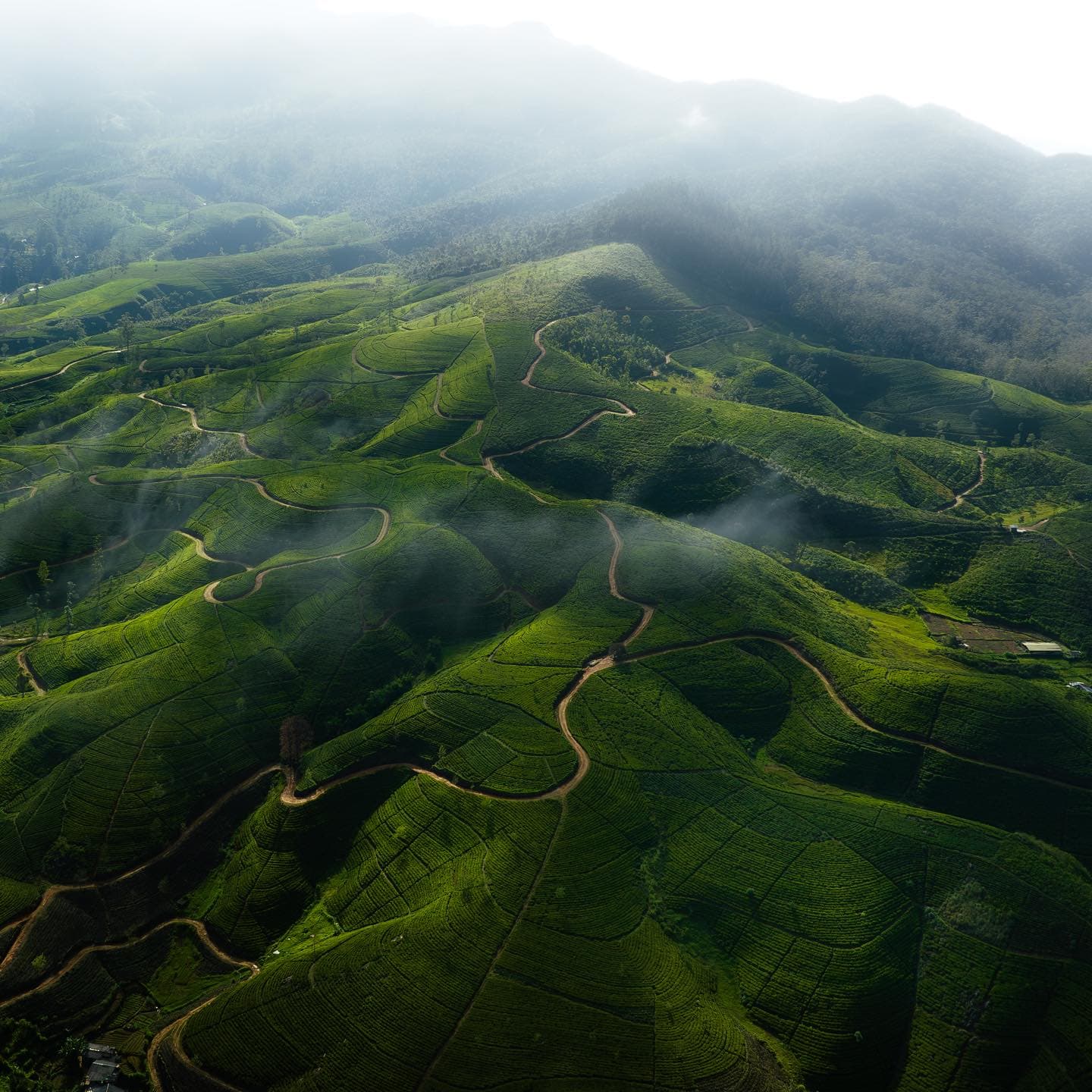 15 Insta-Worthy Places in Sri Lanka