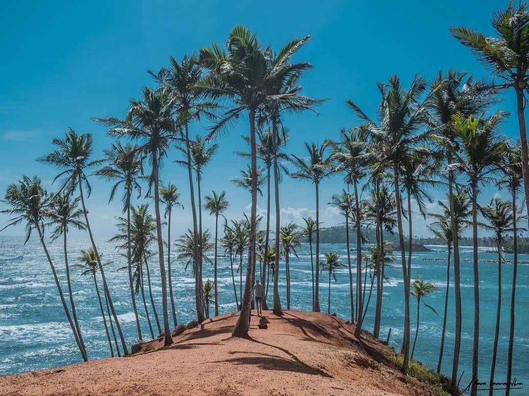 Your Complete Guide to Mirissa Sri Lanka