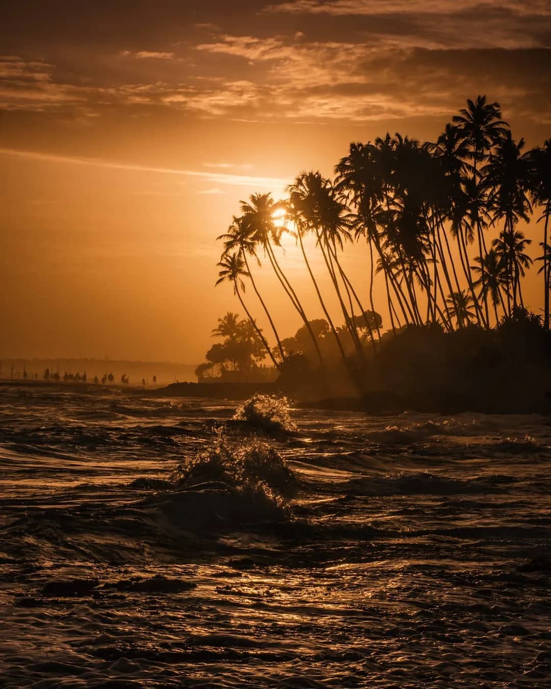 Best Beaches of Sri Lanka: Your Guide to Sun, Sand, and Serenity